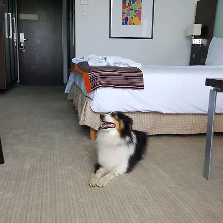 Park By Radisson & 4*