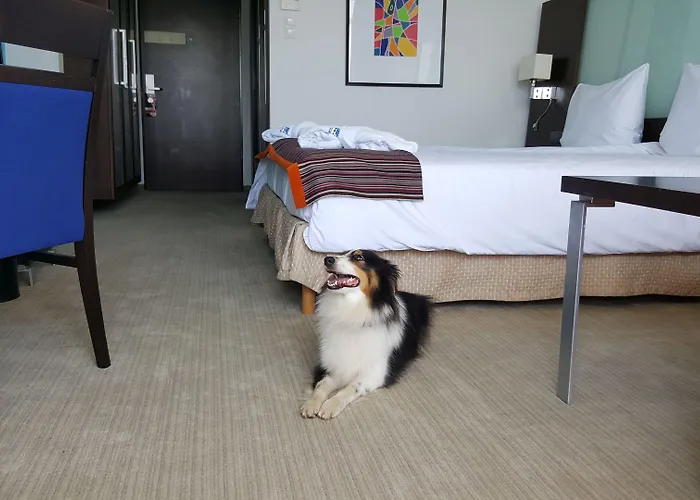 Park By Radisson & 4*